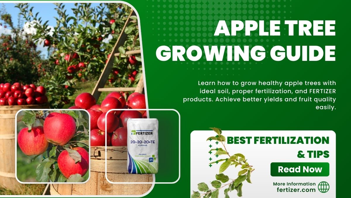 Apple Tree Growing Guide