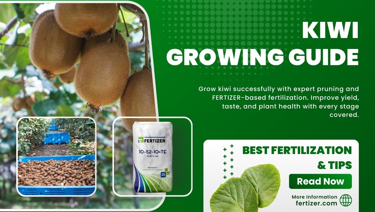Kiwi Cultivation and Fertilization Guide with FERTIZER