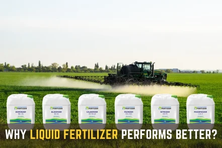 Liquid Fertiliser for Crops That Performs