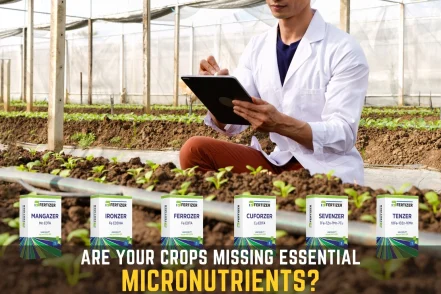 Micronutrient Fertiliser for Plants Explained