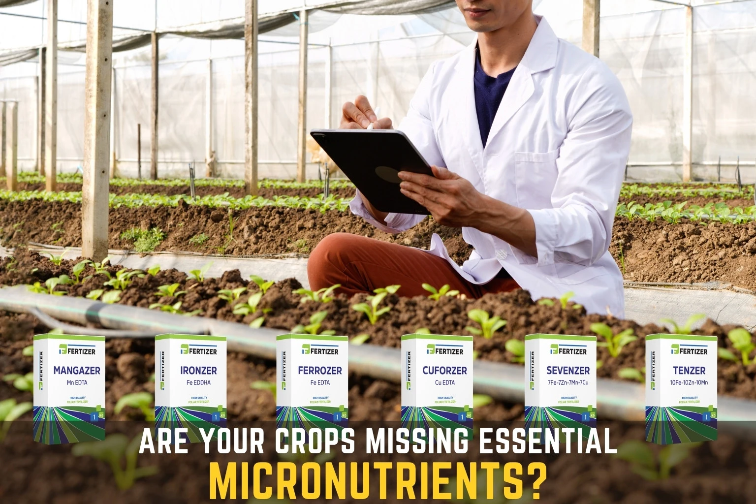Micronutrient Fertiliser for Plants Explained