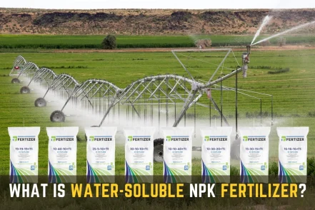 Water Soluble NPK Fertiliser Explained