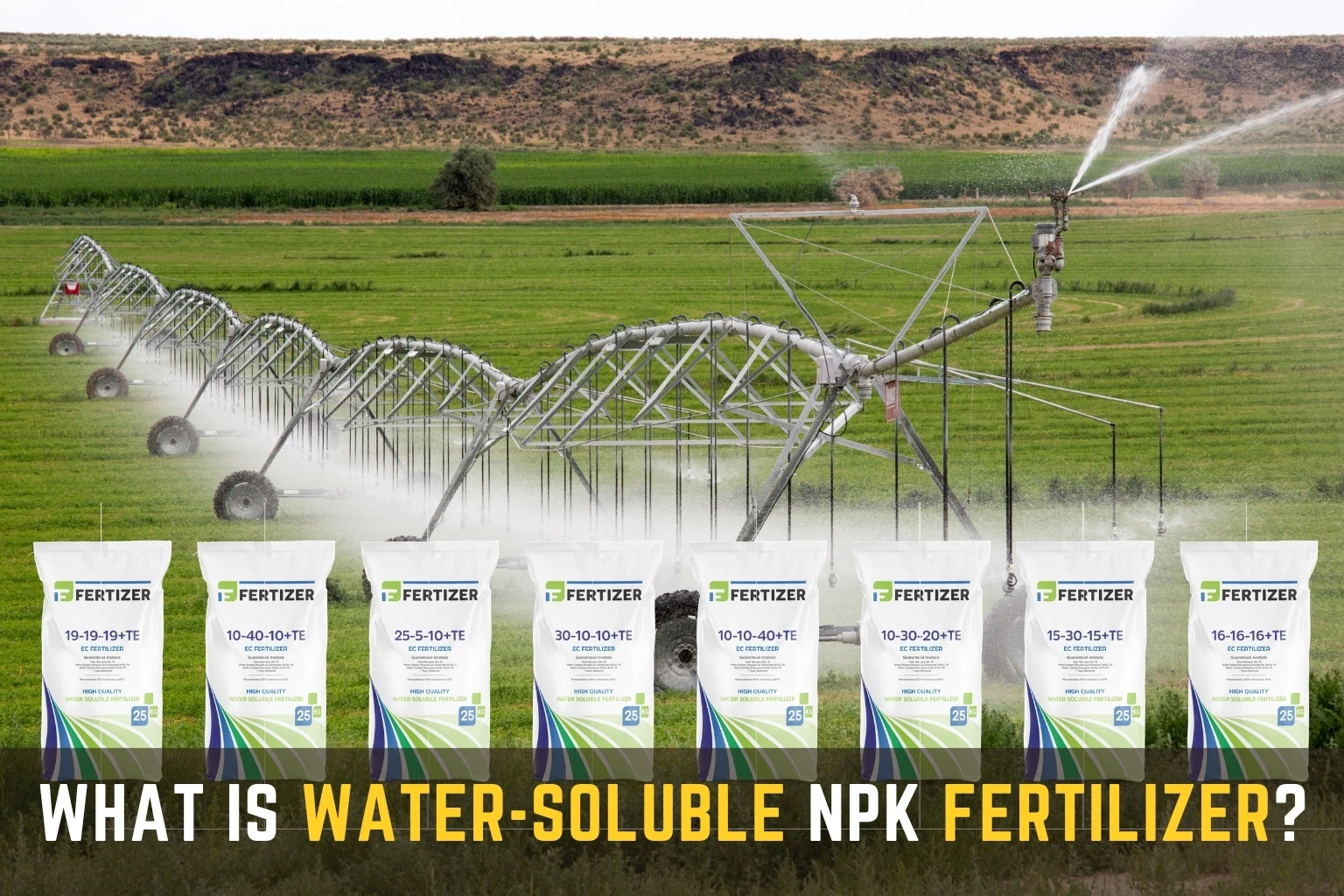Water Soluble NPK Fertiliser Explained