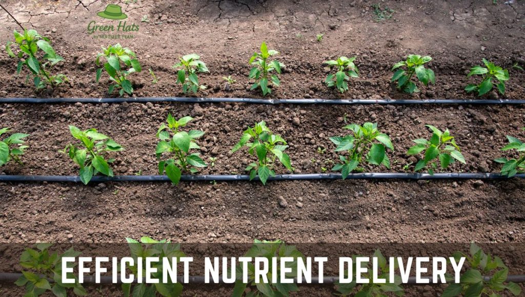 Fertigation system applying water soluble fertilizer to increase crop yield